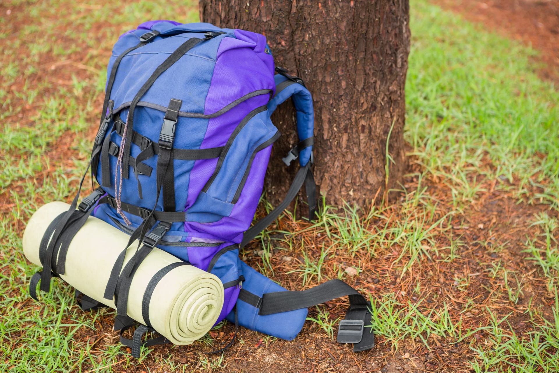 Backpack with a hiking pole leaning against a tree