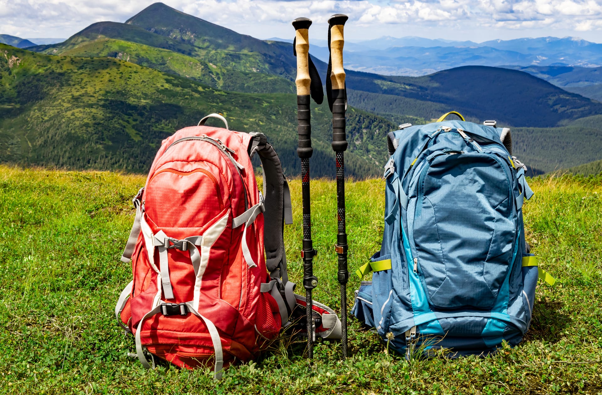 Two hikers with backpacks in a summery natural landscape